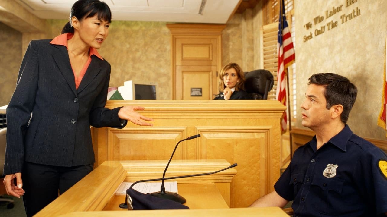 Wisconsin Rules Governing Expert Witness Disclosure and Testimony